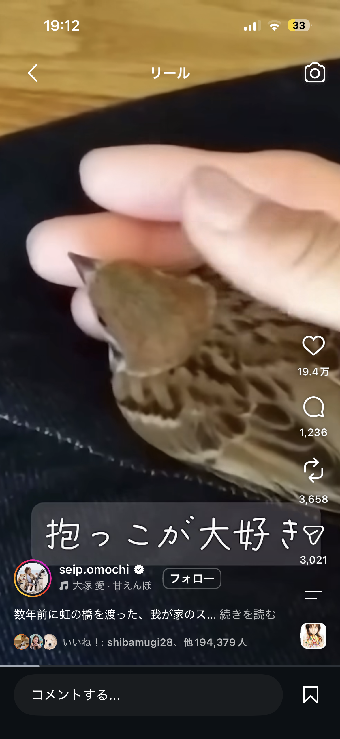 スレッドヘッダー画像: 感動してるコメ欄でとても指摘しずらかったんだけどスズメって飼育禁止だよね？笑
