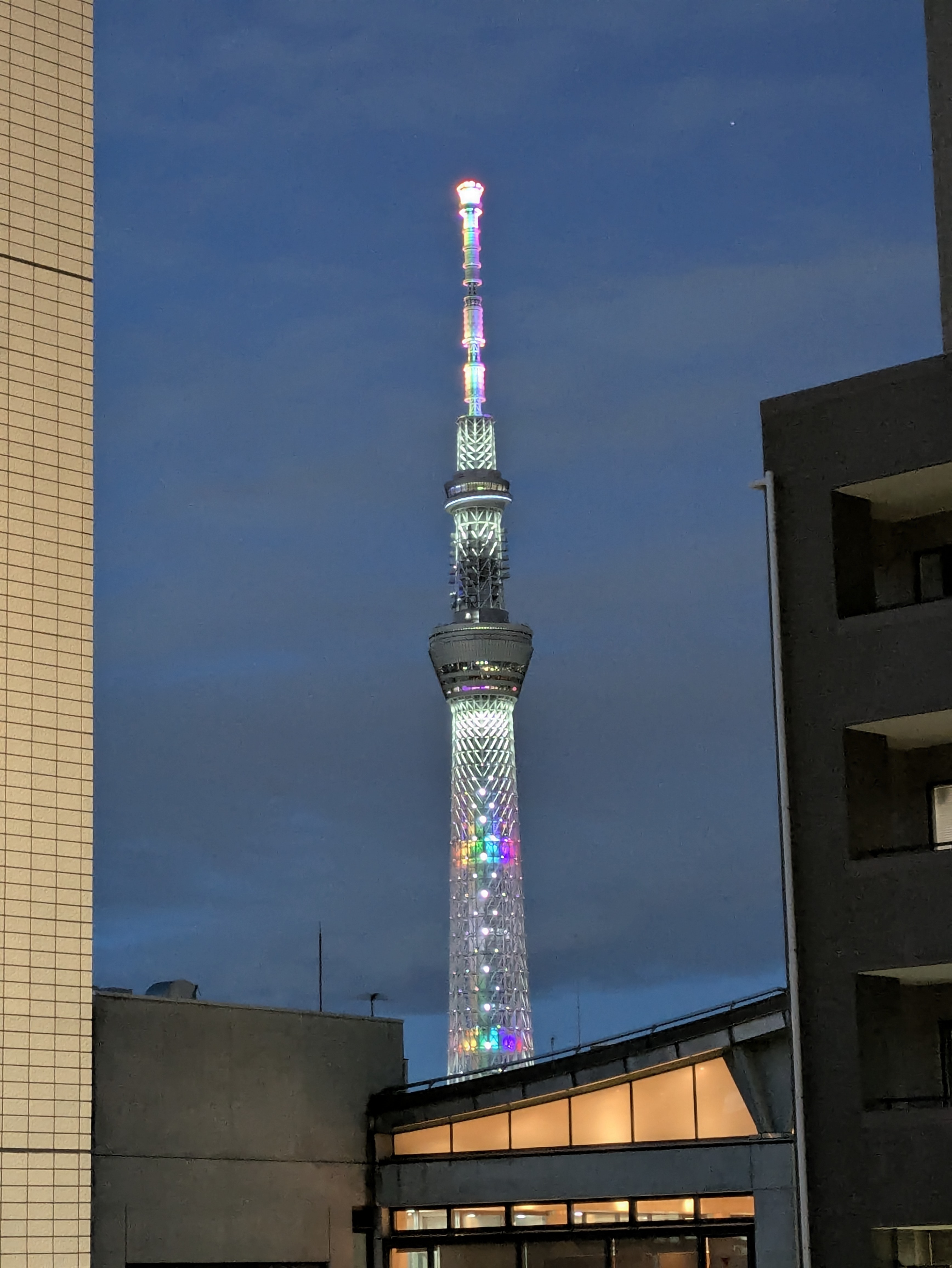スレッドヘッダー画像: 一過