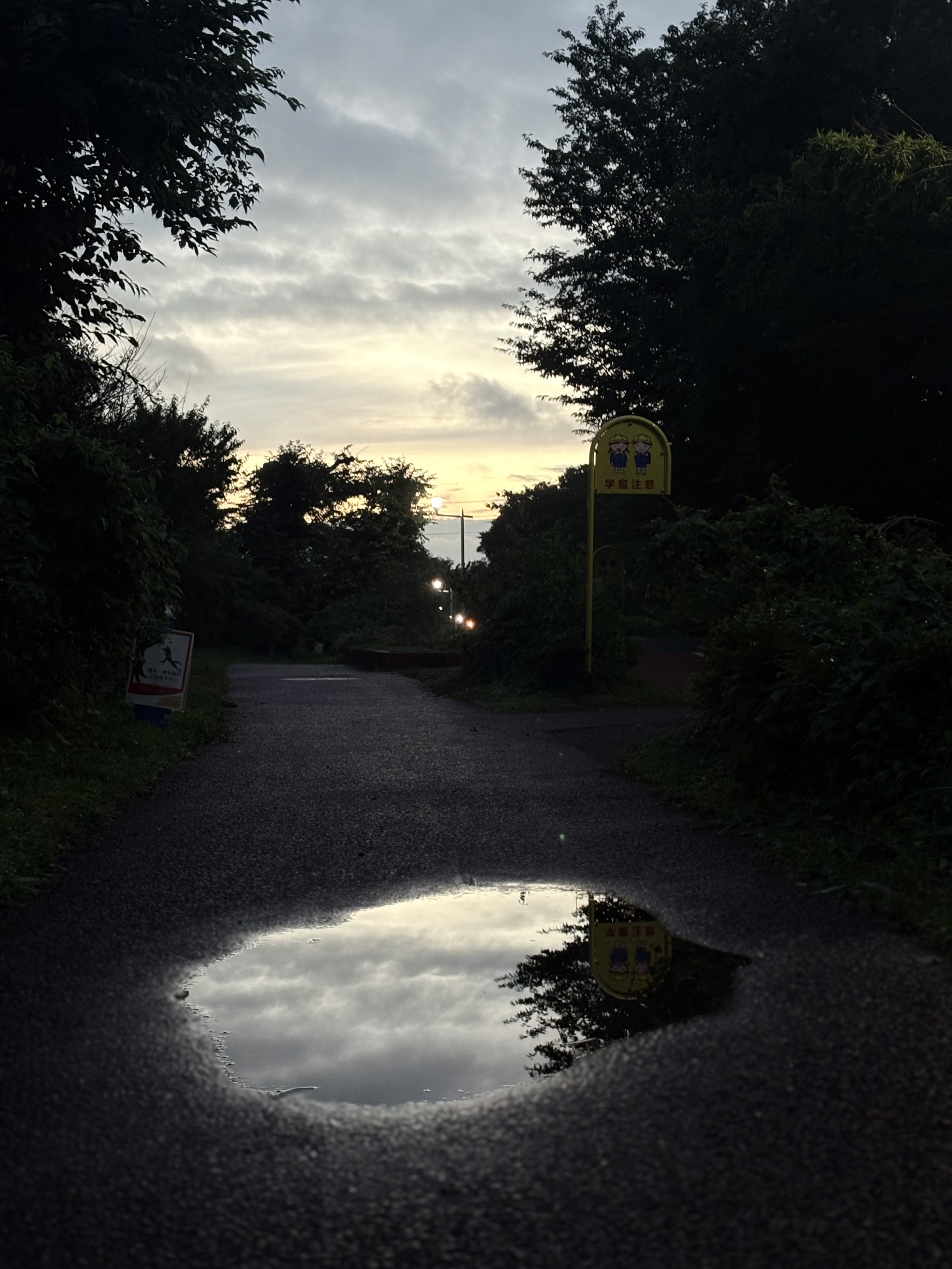 スレッドヘッダー画像: 雨上がりのお散歩してきた