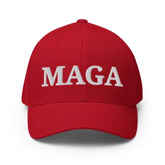 スレッドヘッダー画像: Make America Great Again→MAGA→禍