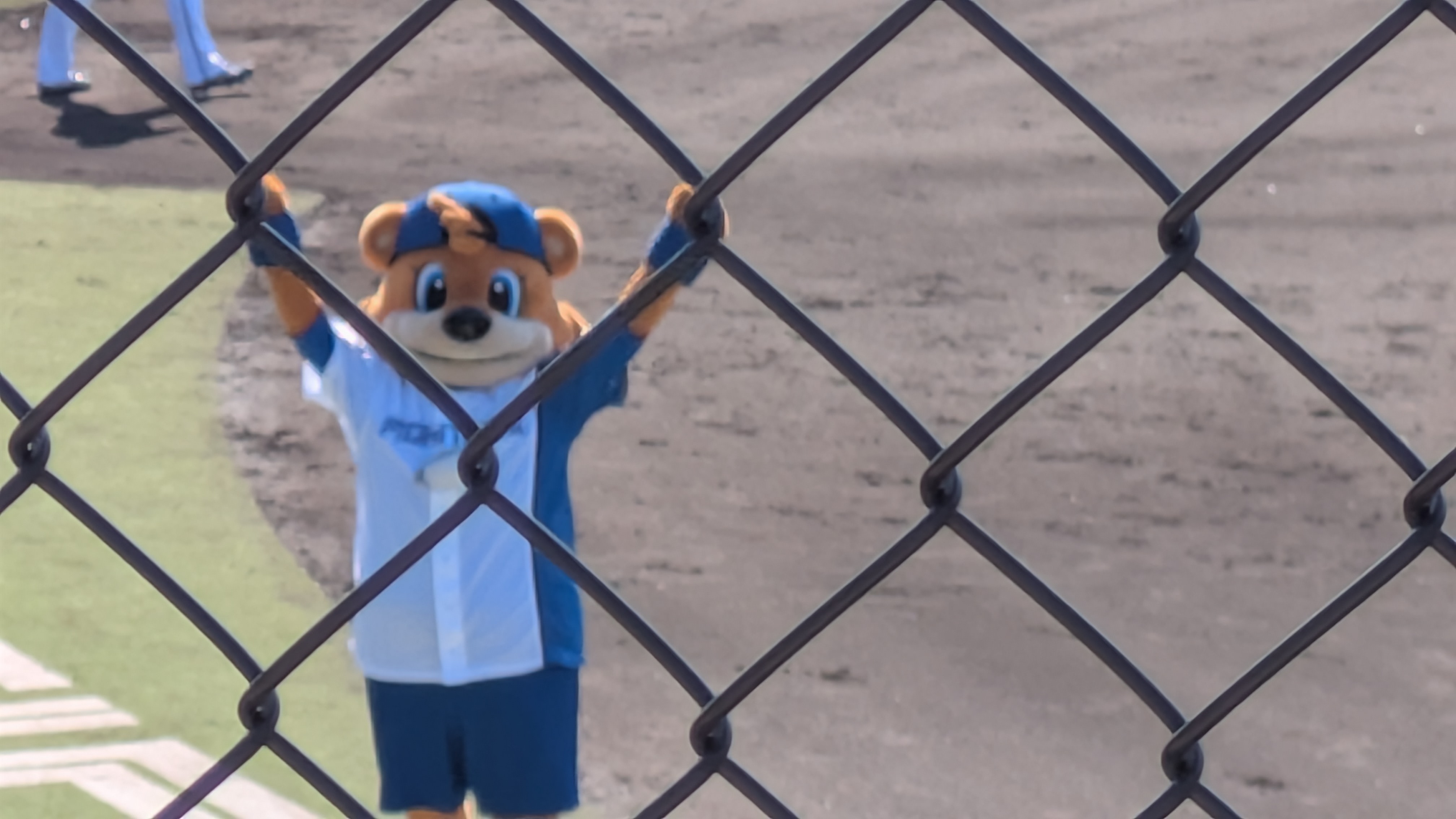 スレッドヘッダー画像: カビーちゃんが、こっちみてくれたよ。アイス食べてたときも気づいてくれて、カビーちゃん優しいよ