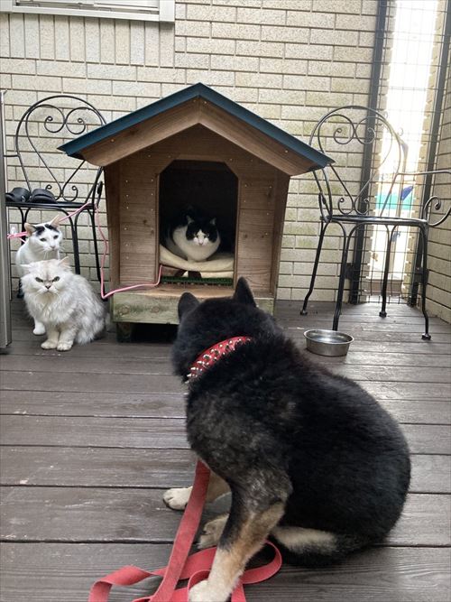 スレッドヘッダー画像: おじはまだっ、36だから〜♪