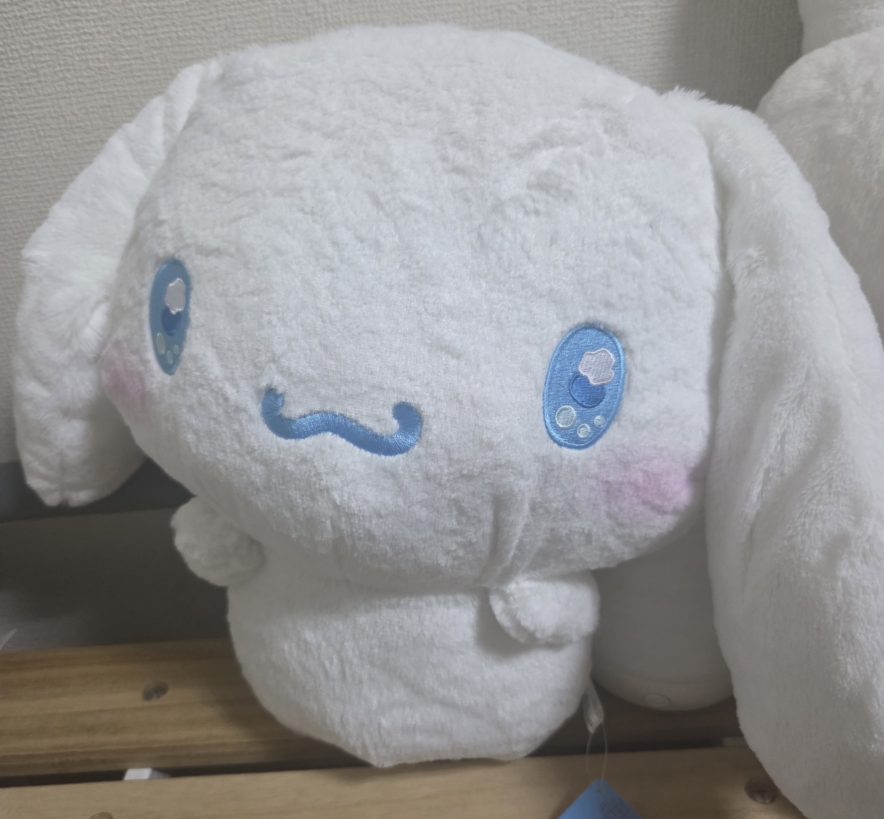 スレッドヘッダー画像: 初めてガチでクレーンゲームで遊んでとれた。うれしい。
2000円ぐらいかかったけど。でもとれたのうれしい。