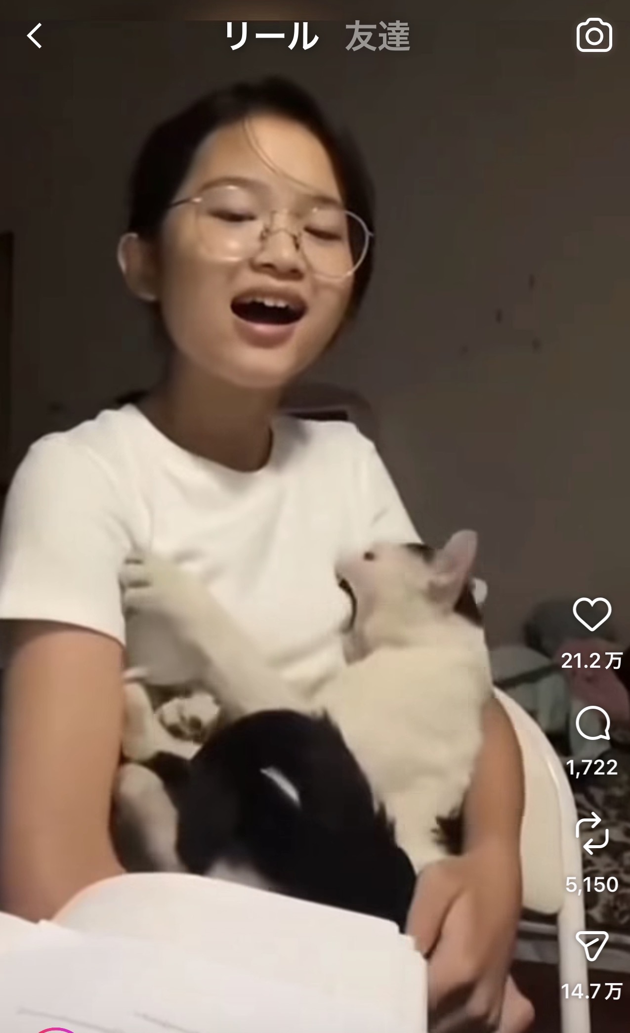 スレッドヘッダー画像: 割とよく見るリールだけど猫になりたい笑