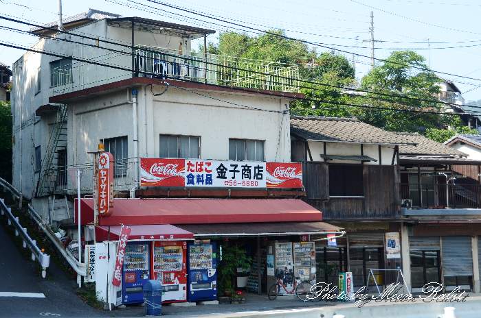 スレッドヘッダー画像: 姉がこういう感じの古くて小さい商売してるおうちに嫁いだけど、もしかしてこういうタイプのおうちって見た目以上に裕福？姉の嫁いだ家は豪邸だし車はポルシェ乗ってるし海外旅行にも行くし姉もかなり贅沢してる