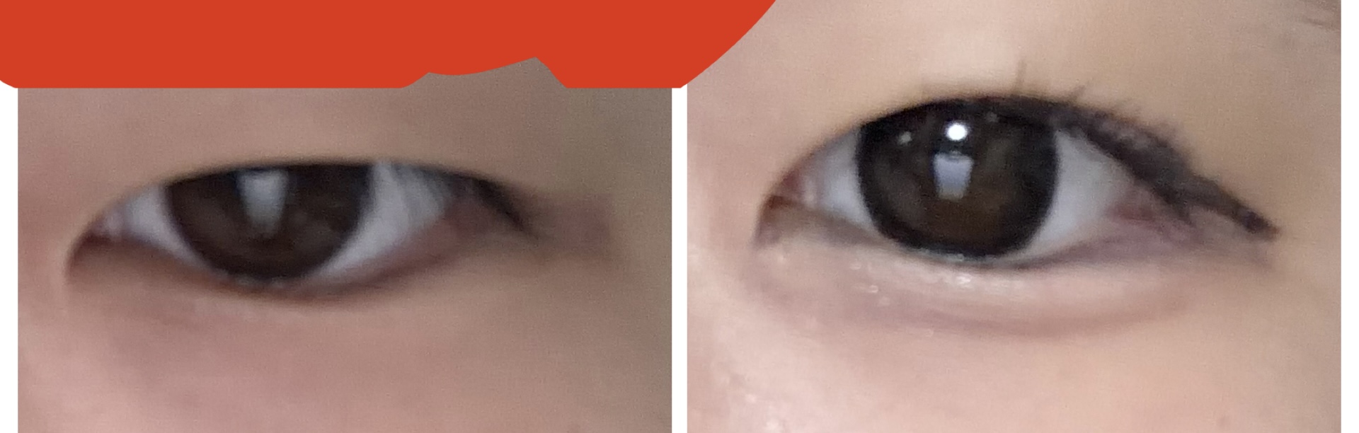 スレッドヘッダー画像: みて！