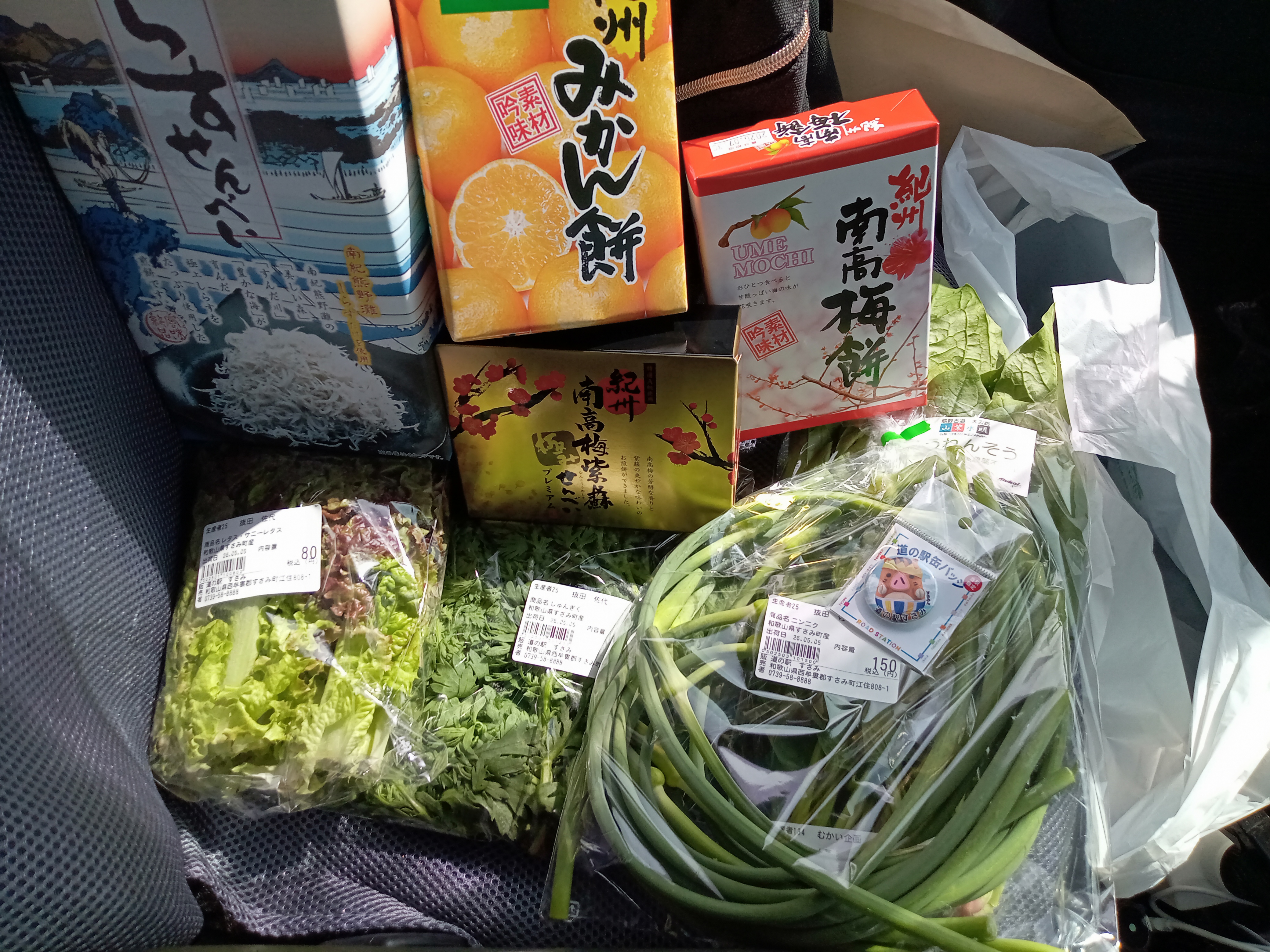 スレッドヘッダー画像: 潮岬向けて走るつもりがすさみの道の駅で帰路に着く。奈良に帰るべ
