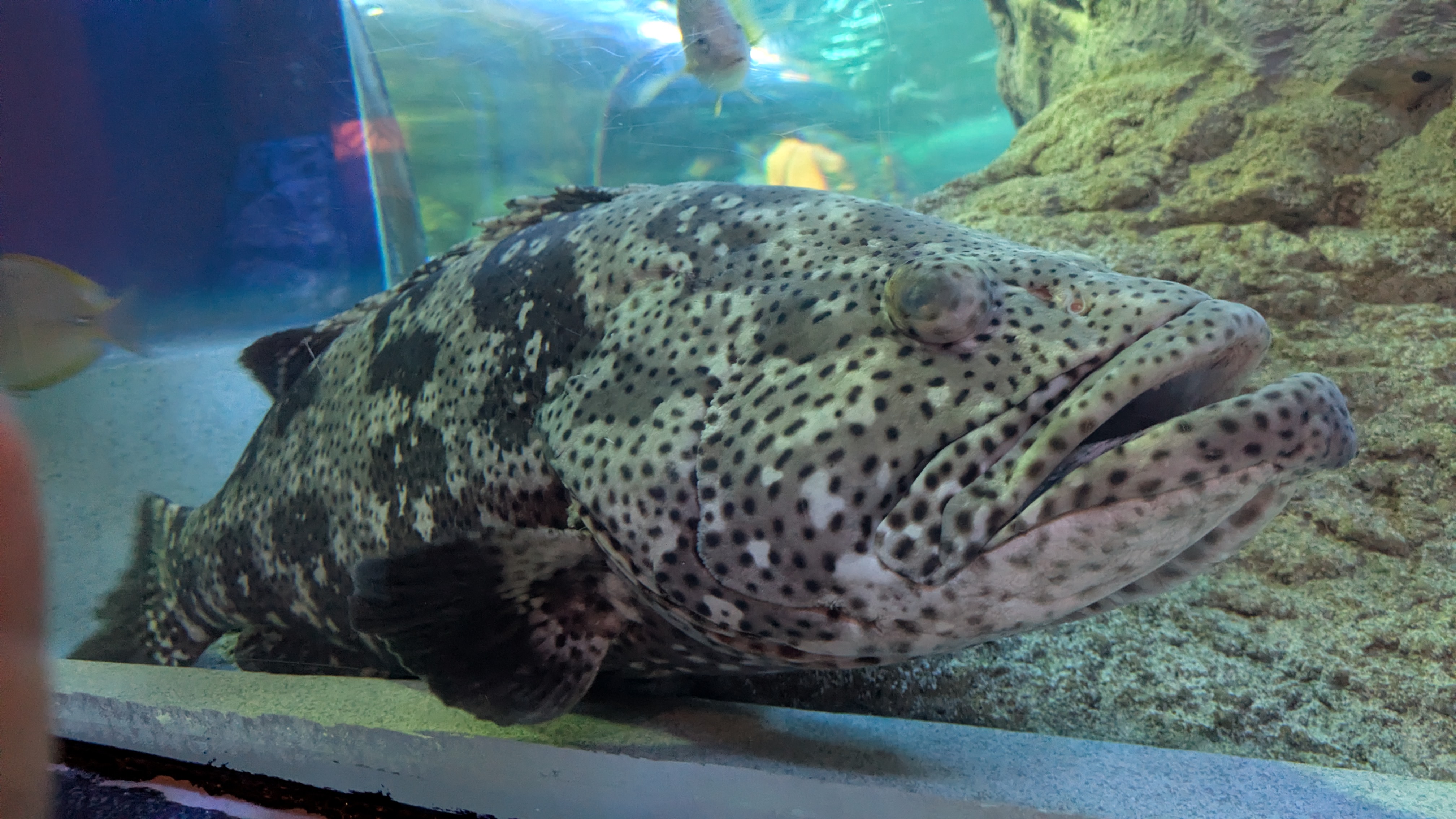 スレッドヘッダー画像: こぉんばぁんはぁ