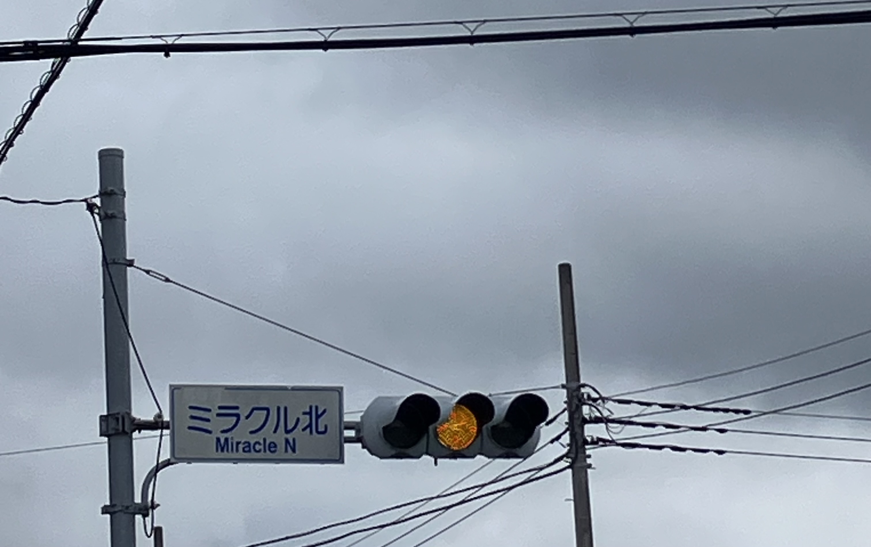 スレッドヘッダー画像: 縁起がいいかしら？
