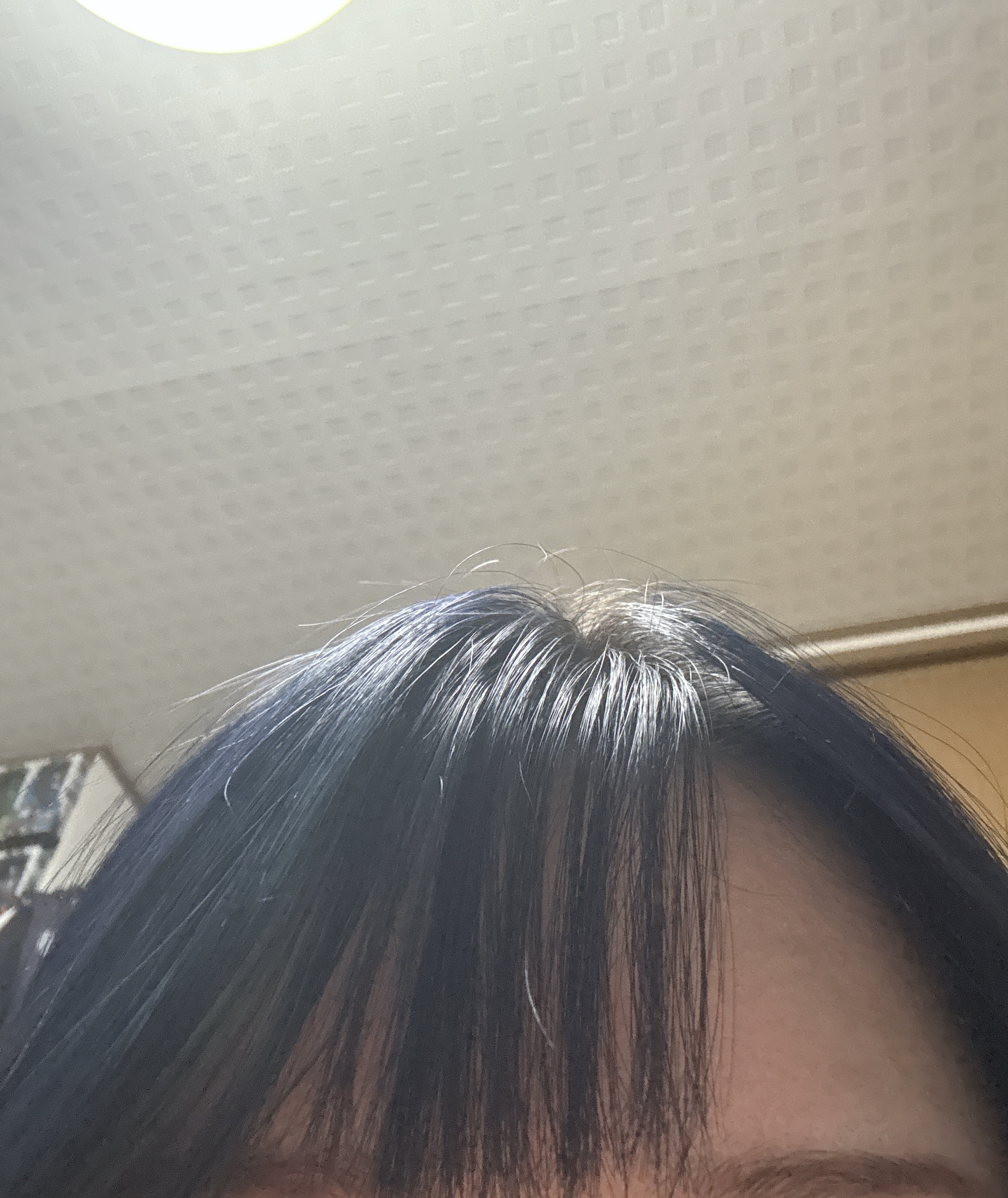 スレッドヘッダー画像: ひたむきブルージュで染めたら青っぽい黒になった