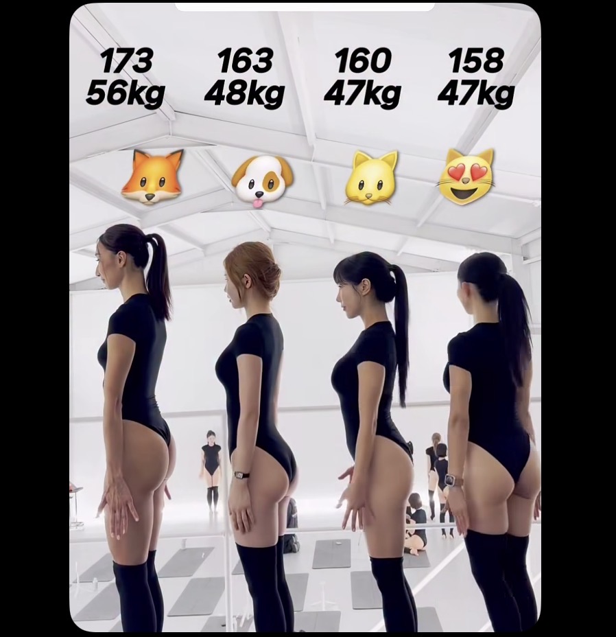 スレッドヘッダー画像: 左二は右隣より背が高いのに、ケツの位置悪すぎて短足に見えるな。