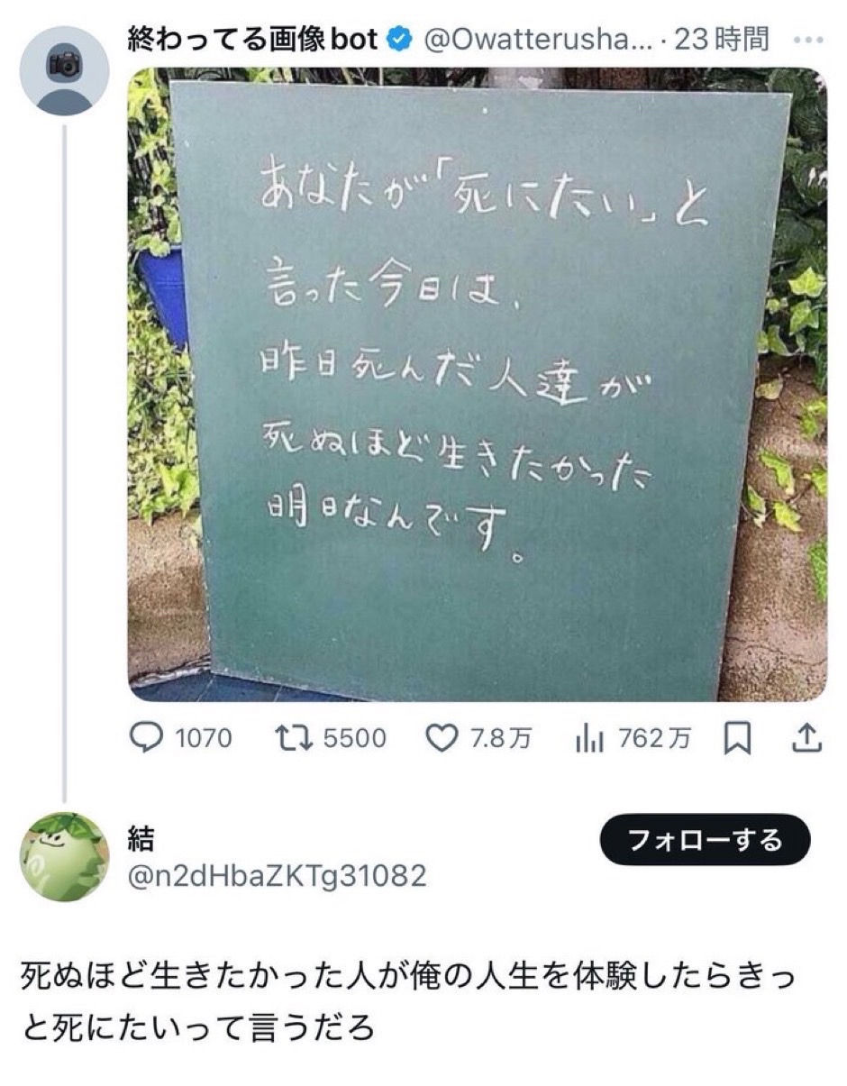 投稿画像