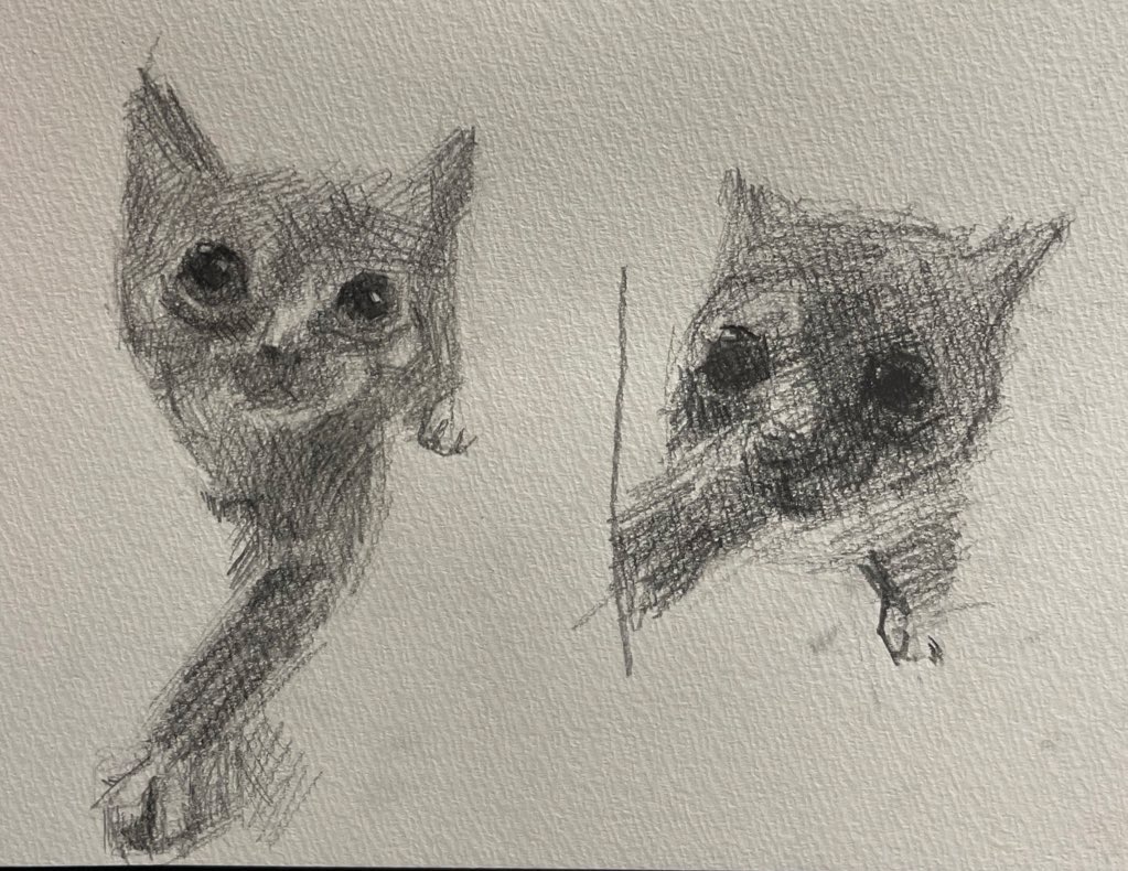 スレッドヘッダー画像: 猫